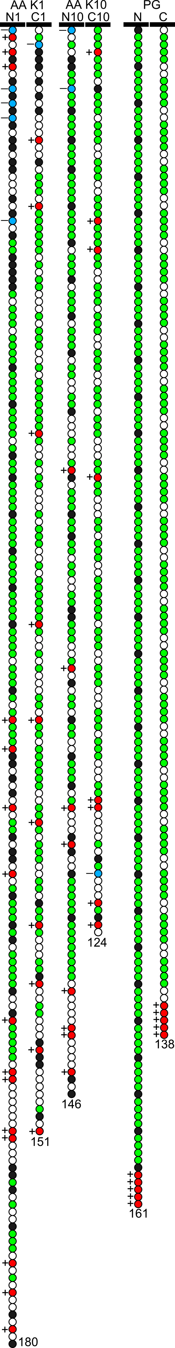 Self-consistent field theory for the interactions between keratin intermediate filaments.