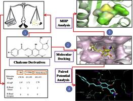 In silico screening of chalcone derivatives as potential inhibitors of dihydrofolate reductase: Assessment using molecular docking, paired potential and molecular hydrophobic potential studies