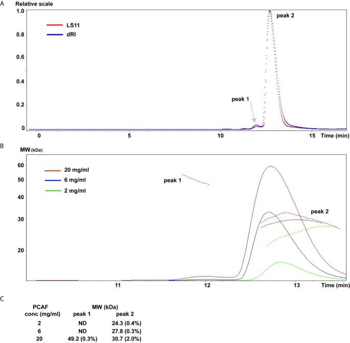 Dimeric structure of p300/CBP associated factor