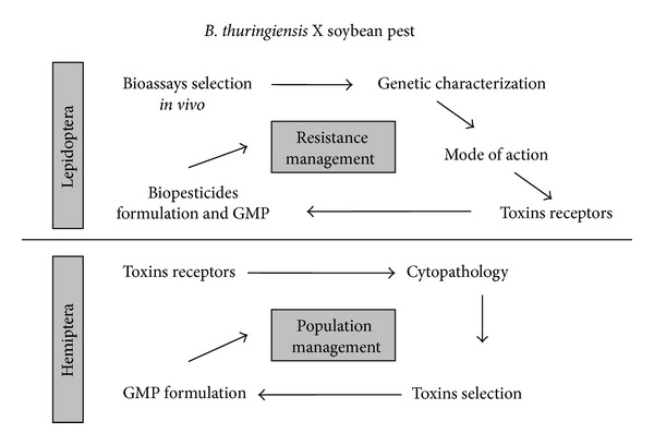 Mode of Action and Specificity of Bacillus thuringiensis Toxins in the Control of Caterpillars and Stink Bugs in Soybean Culture.