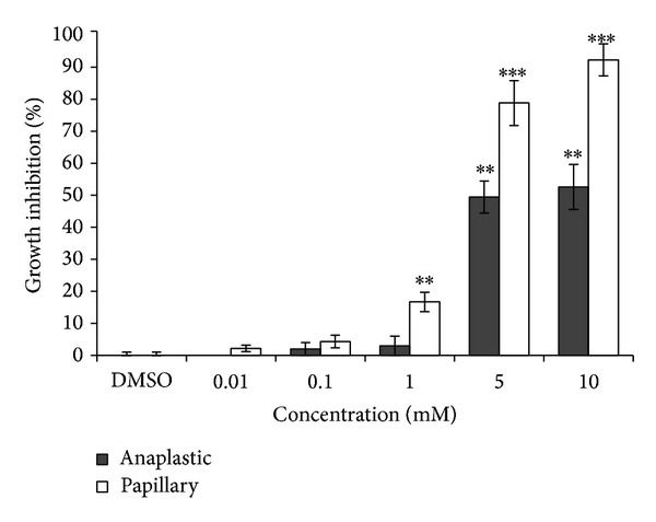 The Beneficial Effects of Valproic Acid in Thyroid Cancer Are Mediated through Promoting Redifferentiation and Reducing Stemness Level: An In Vitro Study.