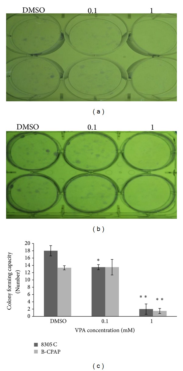 The Beneficial Effects of Valproic Acid in Thyroid Cancer Are Mediated through Promoting Redifferentiation and Reducing Stemness Level: An In Vitro Study.