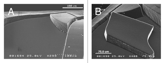 Nanocarbon surfaces for biomedicine.