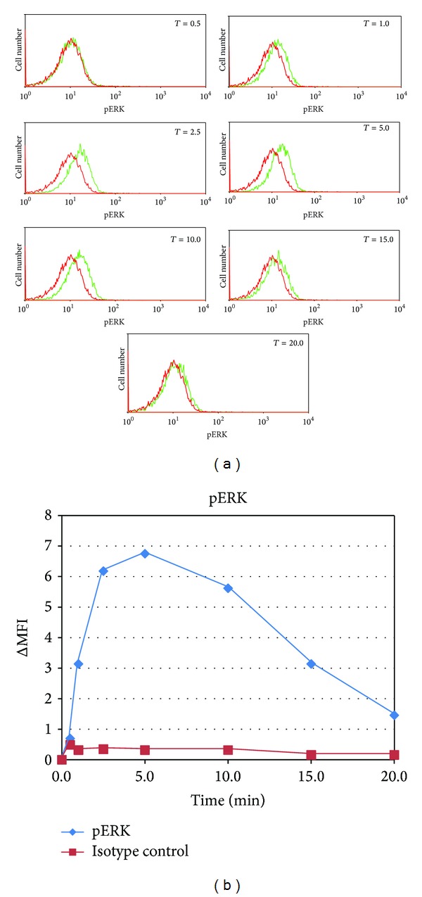 Elements of the B cell signalosome are differentially affected by mercury intoxication.