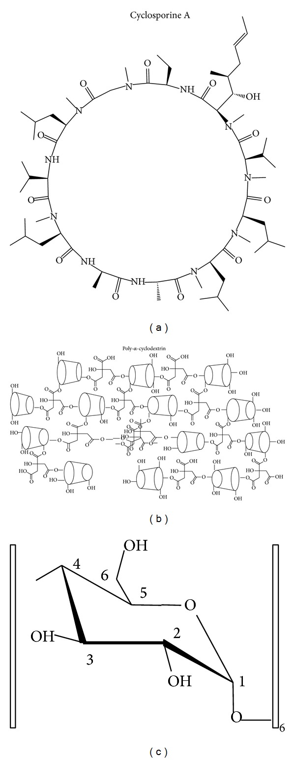 Interaction Study of an Amorphous Solid Dispersion of Cyclosporin A in Poly-Alpha-Cyclodextrin with Model Membranes by (1)H-, (2)H-, (31)P-NMR and Electron Spin Resonance.