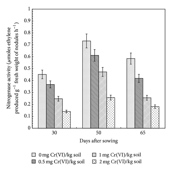 Effect of Chromium(VI) Toxicity on Enzymes of Nitrogen Metabolism in Clusterbean (Cyamopsis tetragonoloba L.).