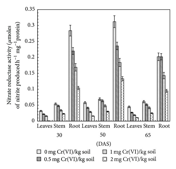 Effect of Chromium(VI) Toxicity on Enzymes of Nitrogen Metabolism in Clusterbean (Cyamopsis tetragonoloba L.).