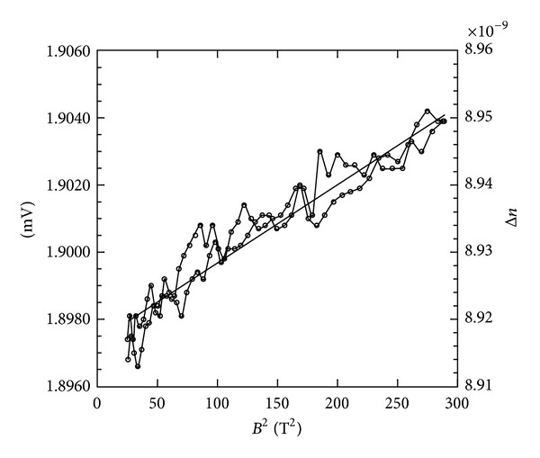 The diamagnetic susceptibility of the tubulin dimer.