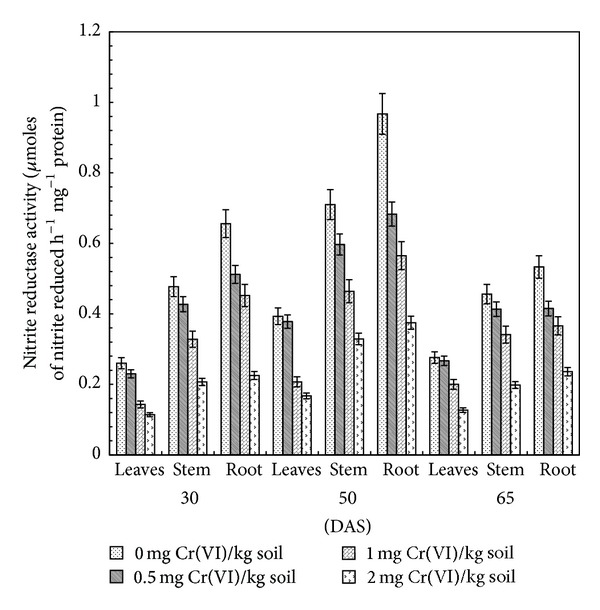 Effect of Chromium(VI) Toxicity on Enzymes of Nitrogen Metabolism in Clusterbean (Cyamopsis tetragonoloba L.).