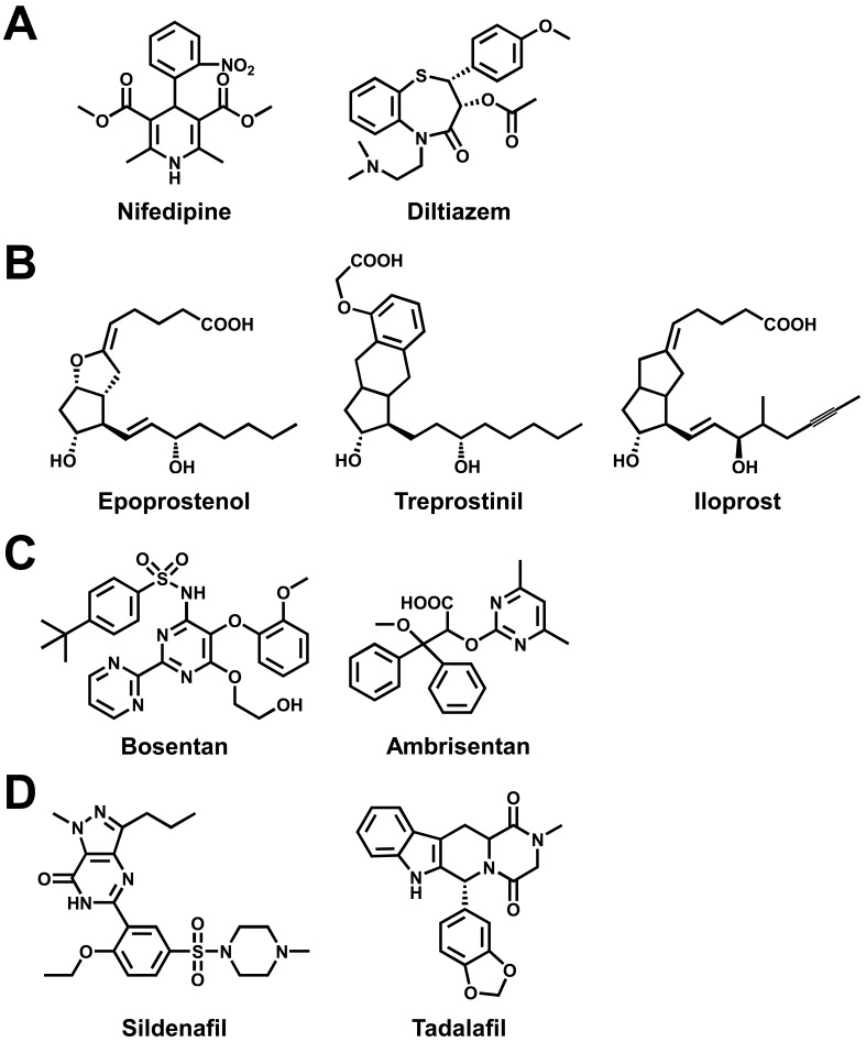 Pathological function of Ca2+-sensing receptor in pulmonary arterial hypertension.