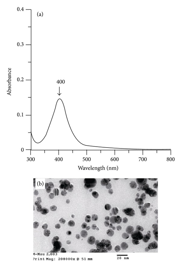 Immobilization of Lipase on Silver Nanoparticles via Adhesive Polydopamine for Biodiesel Production.