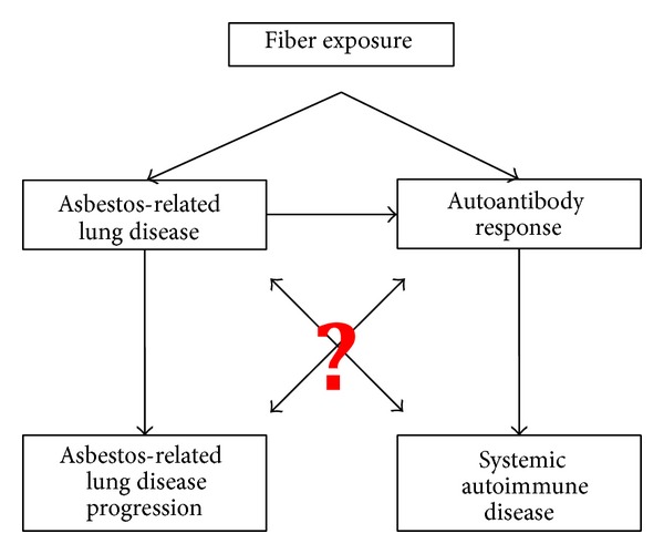 Autoimmunity and asbestos exposure.