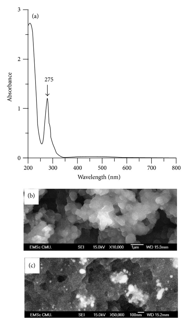 Immobilization of Lipase on Silver Nanoparticles via Adhesive Polydopamine for Biodiesel Production.