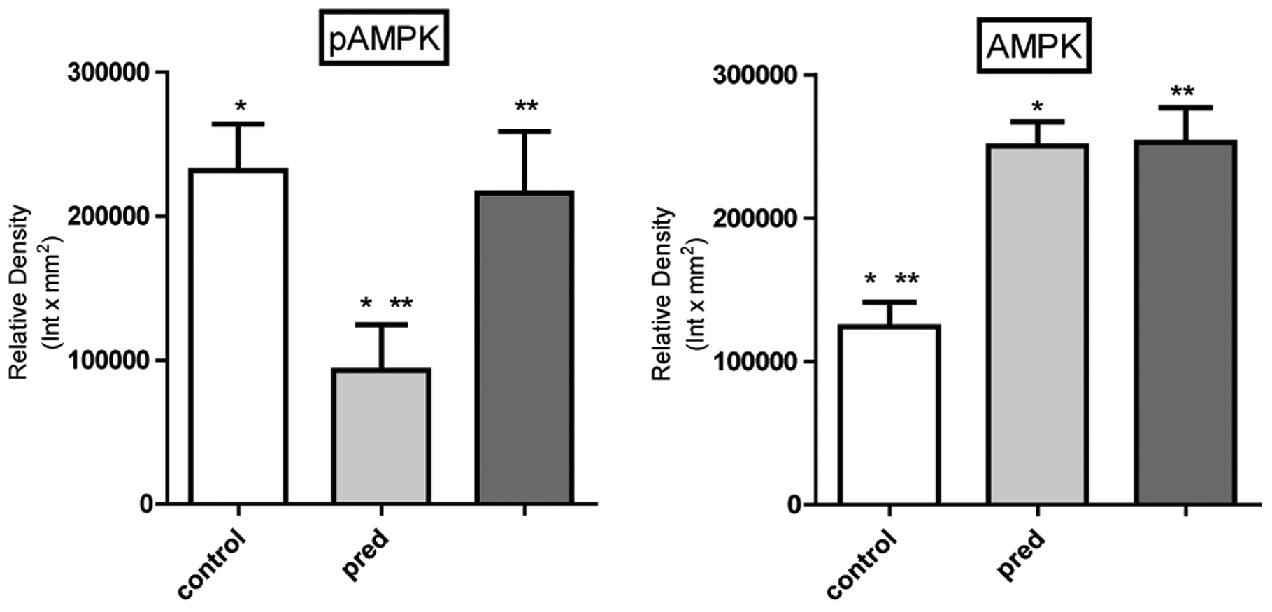 Epicatechin Protects against Corticosteroid Induced Hepatic Steatosis.