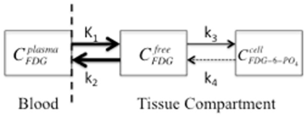 FDG-PET imaging in mild traumatic brain injury: a critical review.