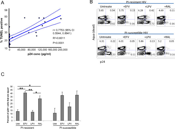 Choice of antiretroviral therapy differentially impacts survival of HIV-infected CD4 T cells.