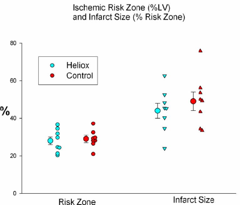 Continuous heliox breathing and the extent of anatomic zone of noreflow and necrosis following ischemia/reperfusion in the rabbit heart.
