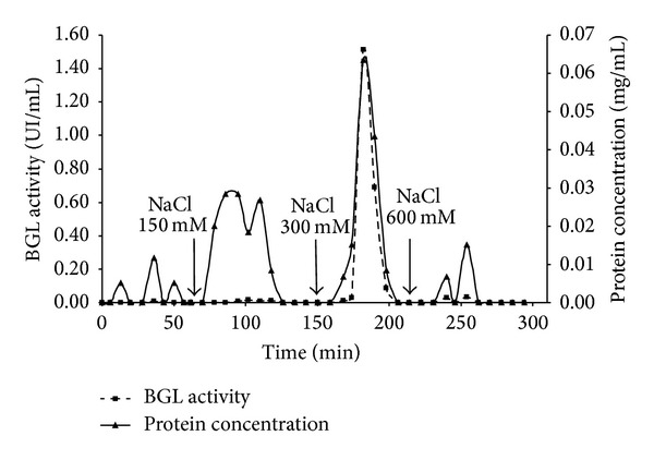 Characterization of β -Glucosidase Produced by Aspergillus niger under Solid-State Fermentation and Partially Purified Using MANAE-Agarose.