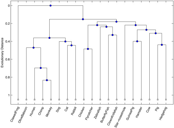 Application of discrete Fourier inter-coefficient difference for assessing genetic sequence similarity.