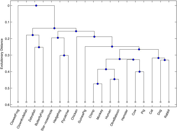 Application of discrete Fourier inter-coefficient difference for assessing genetic sequence similarity.