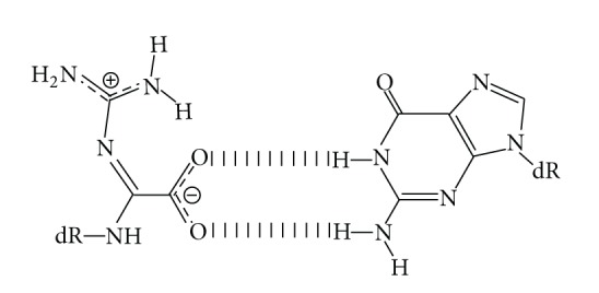 Effects of stability of base pairs containing an oxazolone on DNA elongation.