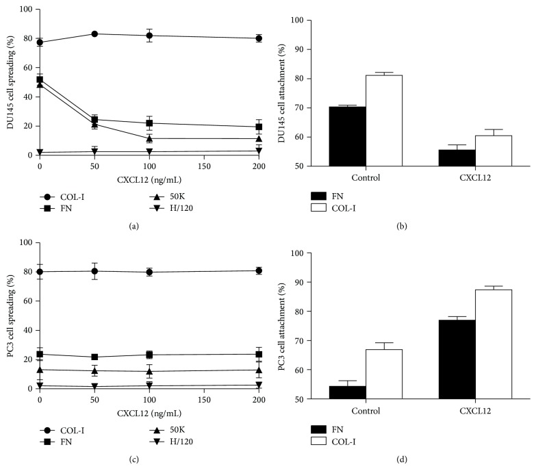 CXCL12 Modulates Prostate Cancer Cell Adhesion by Altering the Levels or Activities of β1-Containing Integrins.