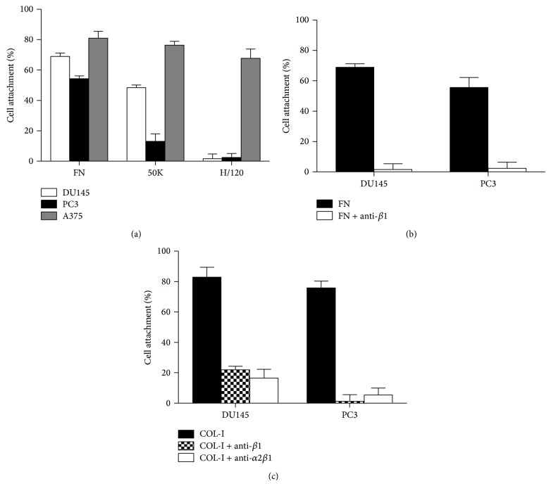 CXCL12 Modulates Prostate Cancer Cell Adhesion by Altering the Levels or Activities of β1-Containing Integrins.