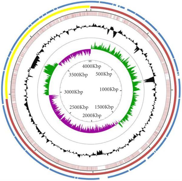 Comparative genome analysis of non-toxigenic non-O1 versus toxigenic O1 <i>Vibrio cholerae.</i>