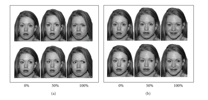 Recognition of emotion from facial expressions with direct or averted eye gaze and varying expression intensities in children with autism disorder and typically developing children.