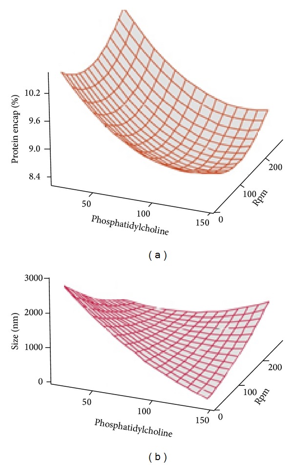 Application of experimental design in preparation of nanoliposomes containing hyaluronidase.