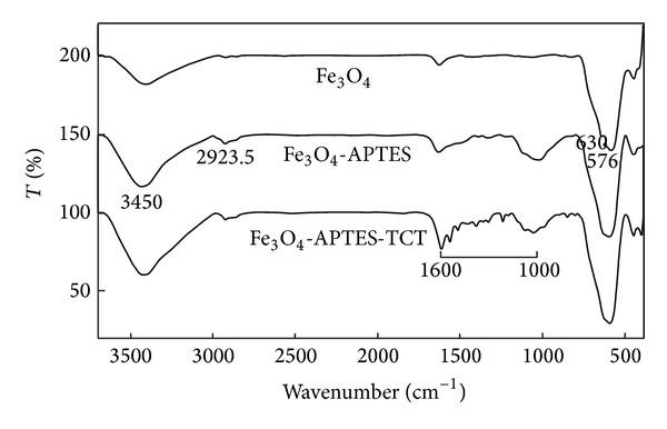 Characterization of modified magnetite nanoparticles for albumin immobilization.