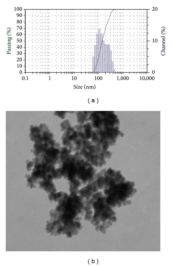 Characterization of modified magnetite nanoparticles for albumin immobilization.