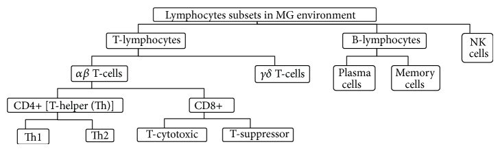 The Immunology of Mammary Gland of Dairy Ruminants between Healthy and Inflammatory Conditions.