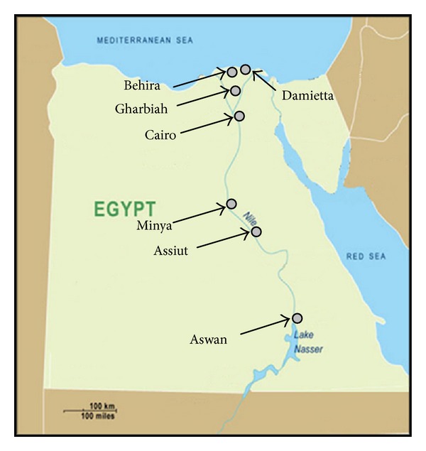 Cancer incidence in egypt: results of the national population-based cancer registry program.