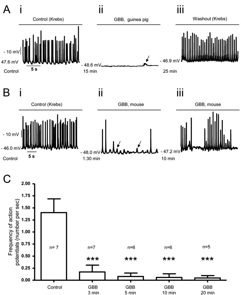 (2R,3S,2'' R,3''R)-manniflavanone, a new gastrointestinal smooth muscle L-type calcium channel inhibitor, which underlies the spasmolytic properties of Garcinia buchananii stem bark extract.