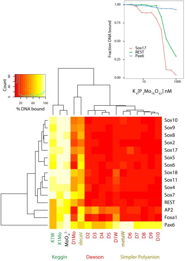 Exploring the utility of organo-polyoxometalate hybrids to inhibit SOX transcription factors