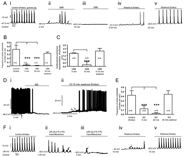 (2R,3S,2'' R,3''R)-manniflavanone, a new gastrointestinal smooth muscle L-type calcium channel inhibitor, which underlies the spasmolytic properties of Garcinia buchananii stem bark extract.