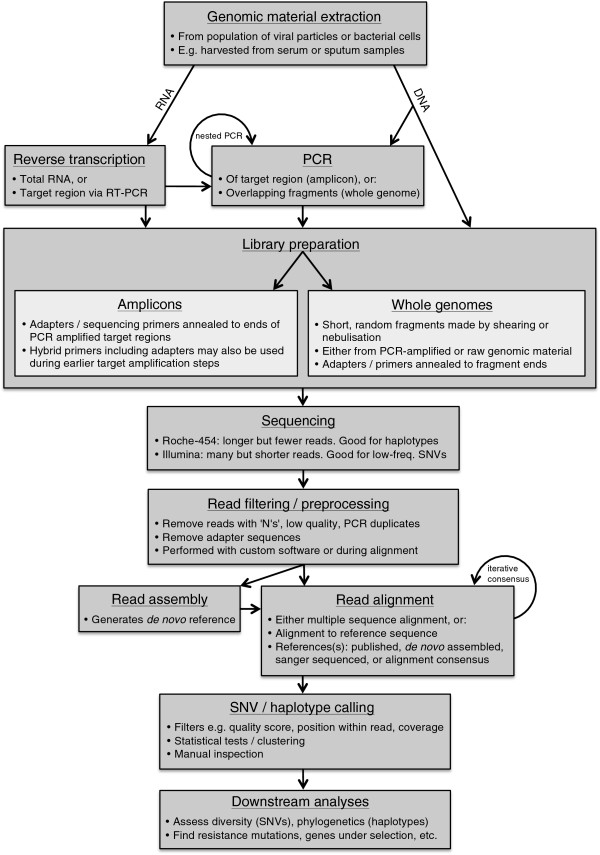 Deep sequencing of evolving pathogen populations: applications, errors, and bioinformatic solutions.