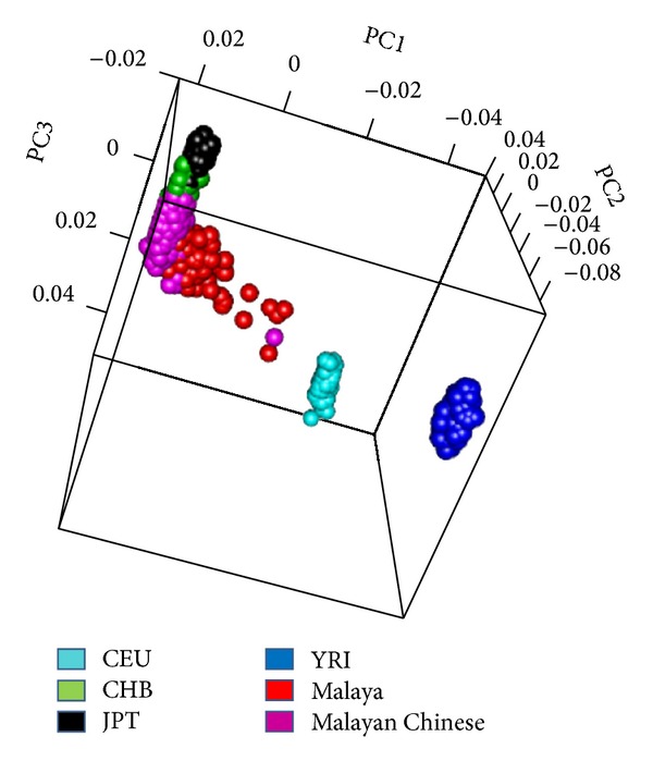 Evaluation of SLE Susceptibility Genes in Malaysians.