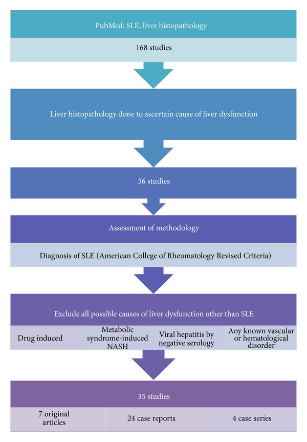 Spectrum of Histomorphologic Findings in Liver in Patients with SLE: A Review.