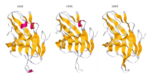 The influence of flanking secondary structures on amino Acid content and typical lengths of 3/10 helices.