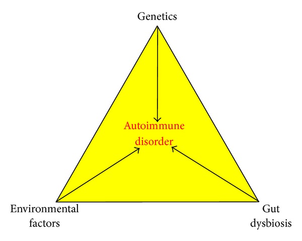 Autoimmunity and the gut.