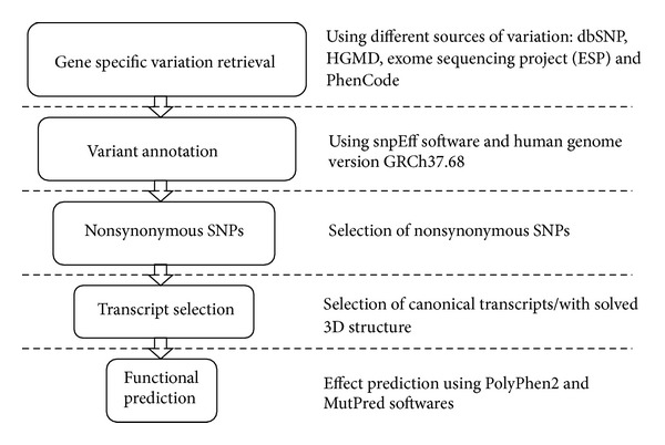 A Comprehensive In Silico Analysis of the Functional and Structural Impact of Nonsynonymous SNPs in the ABCA1 Transporter Gene.