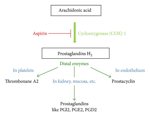 Aspirin for prevention of preeclampsia in lupus pregnancy.