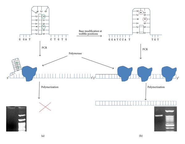 Primer Based Approach for PCR Amplification of High GC Content Gene: Mycobacterium Gene as a Model.