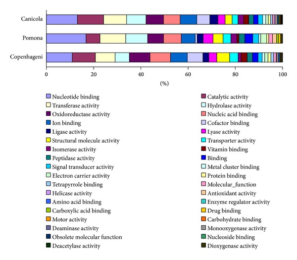 Characterisation of the Proteome of Leptospira interrogans Serovar Canicola as a Resource for the Identification of Common Serovar Immunogenic Proteins.