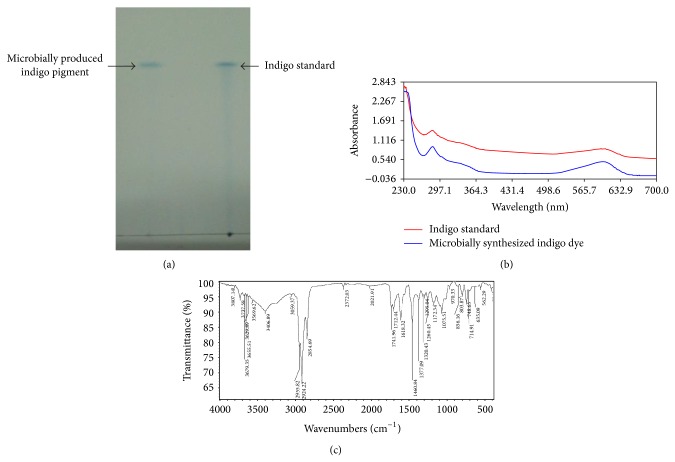 Biotransformation of Indigo Pigment by Indigenously Isolated Pseudomonas sp. HAV-1 and Assessment of Its Antioxidant Property.