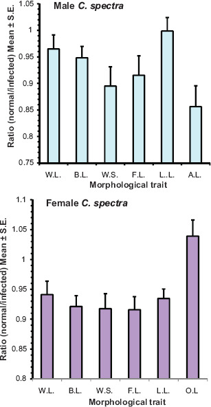 Estimation of Fitness of Normal and Stylopized Paddy Pest, White Leafhopper <i>Cofana spectra</i> (Distant) (Hemiptera: Cicadellidae), in West Bengal, India through Correlation of Life History Traits.