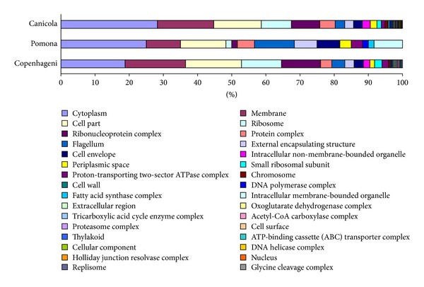 Characterisation of the Proteome of Leptospira interrogans Serovar Canicola as a Resource for the Identification of Common Serovar Immunogenic Proteins.