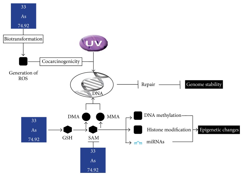 Heavy Metal Content in Thoracic Tissue Samples from Patients with and without NSCLC.